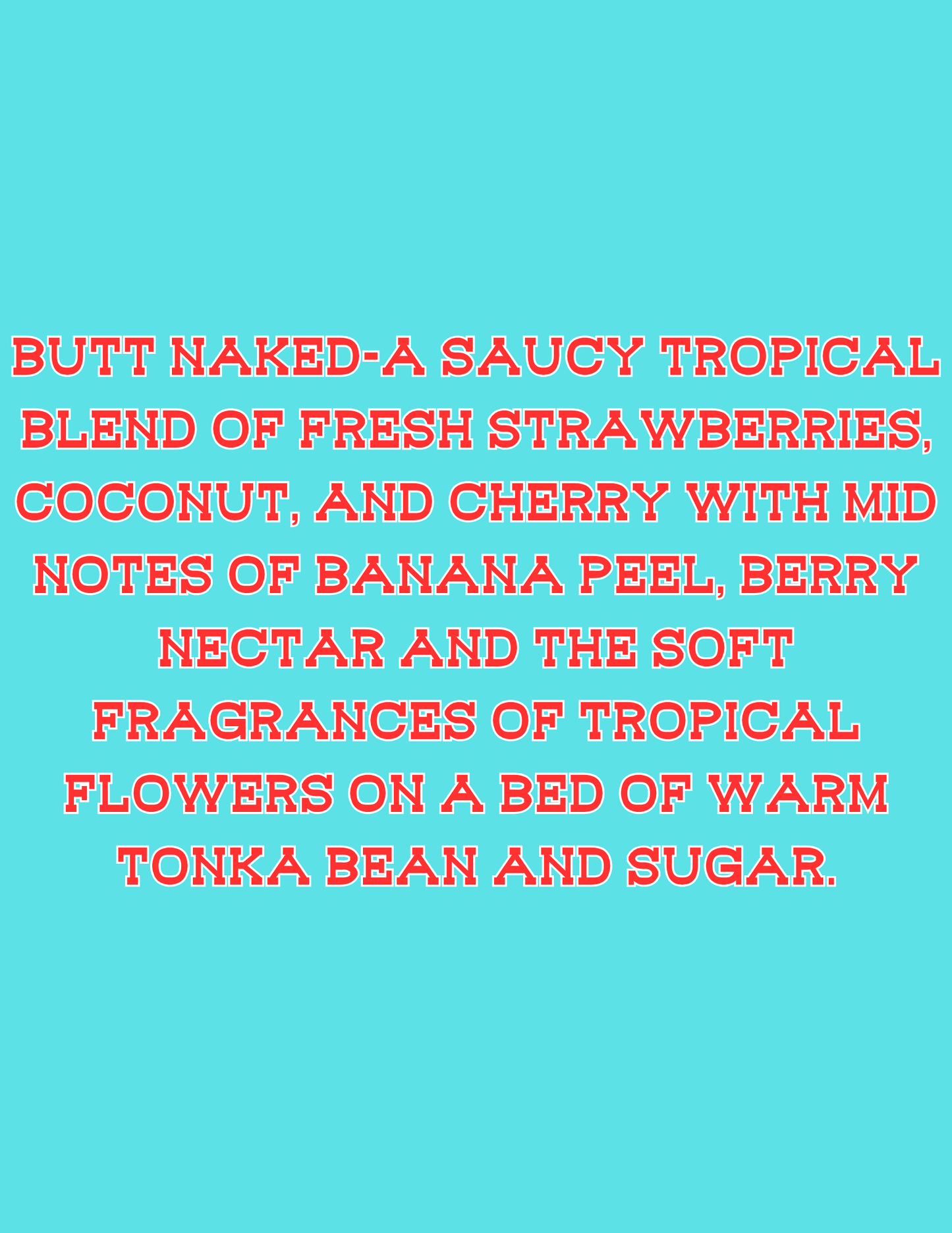 π£π£All Available Freshie Scent Descriptions ( all are listing in this listing)π£π£