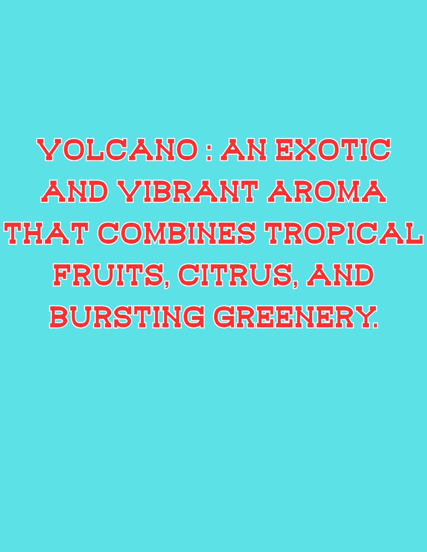 π£π£All Available Freshie Scent Descriptions ( all are listing in this listing)π£π£