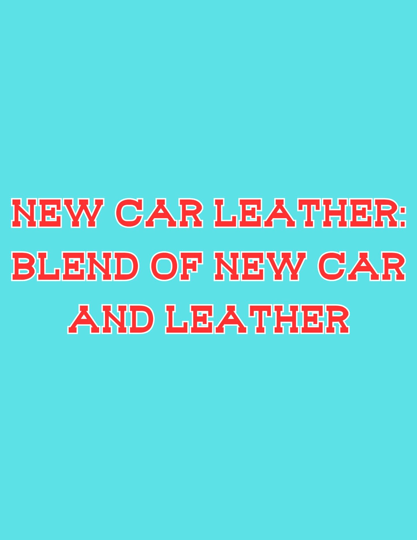 π£π£All Available Freshie Scent Descriptions ( all are listing in this listing)π£π£