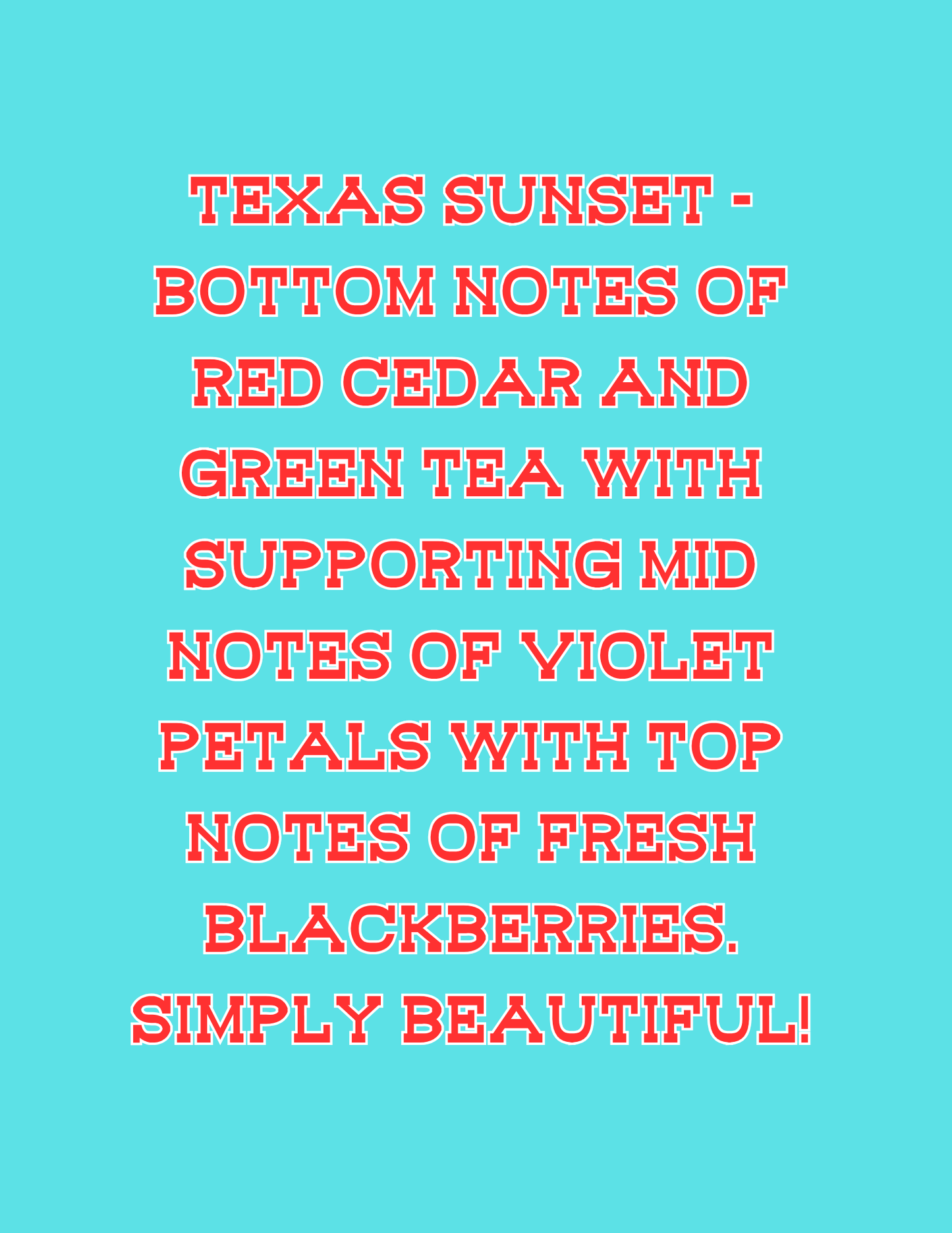 π£π£All Available Freshie Scent Descriptions ( all are listing in this listing)π£π£