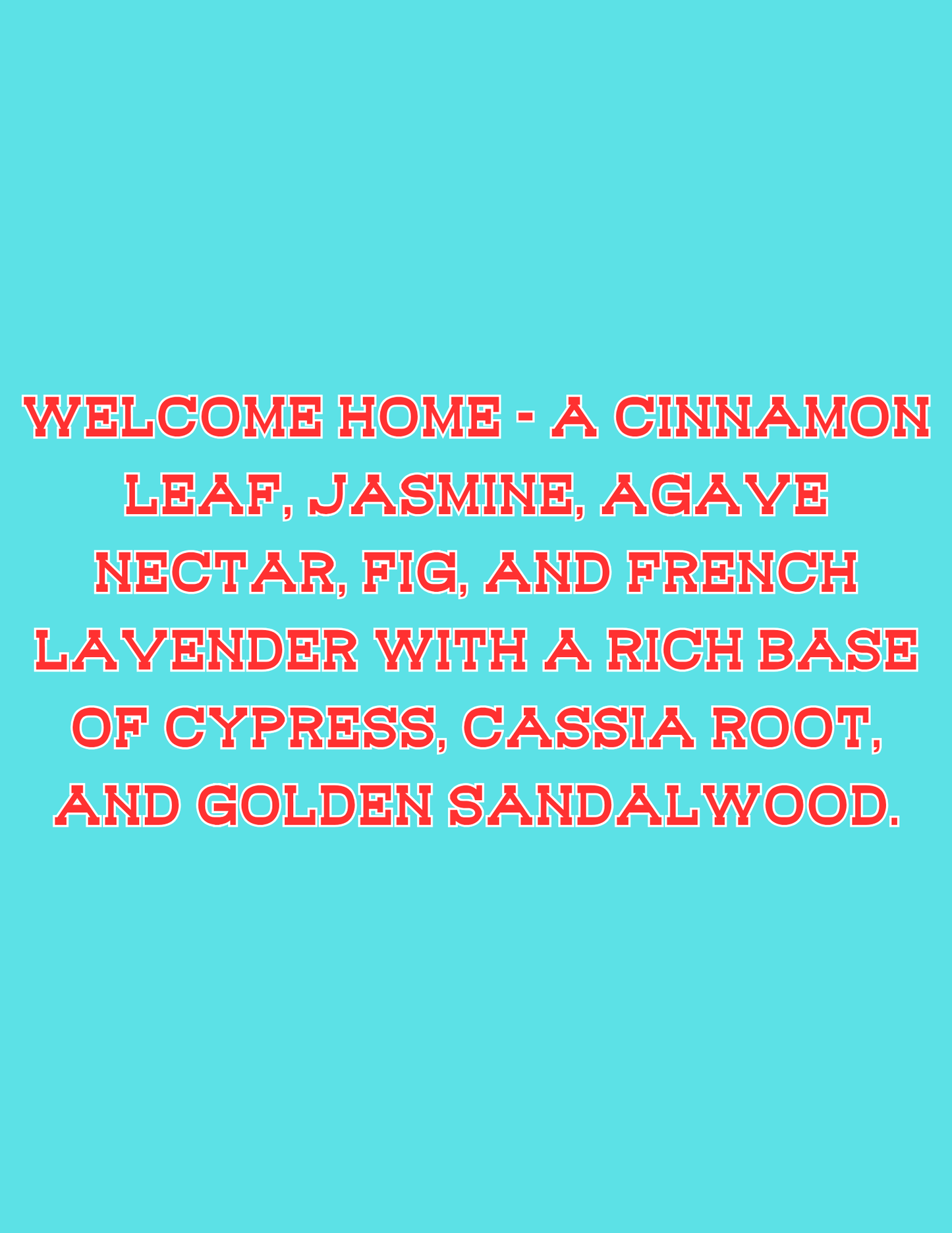 π£π£All Available Freshie Scent Descriptions ( all are listing in this listing)π£π£