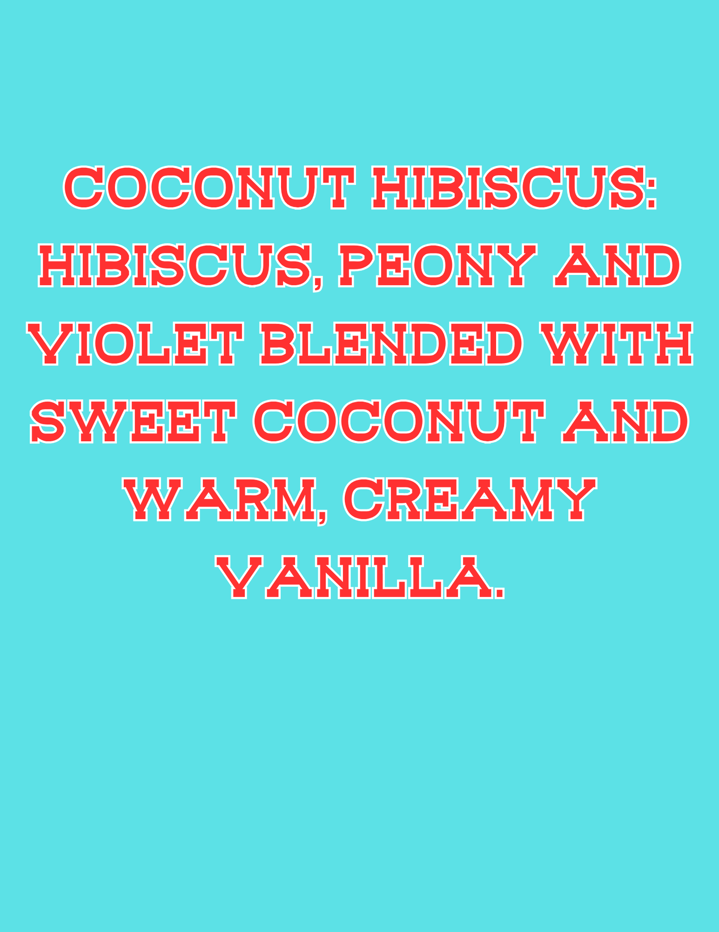 π£π£All Available Freshie Scent Descriptions ( all are listing in this listing)π£π£