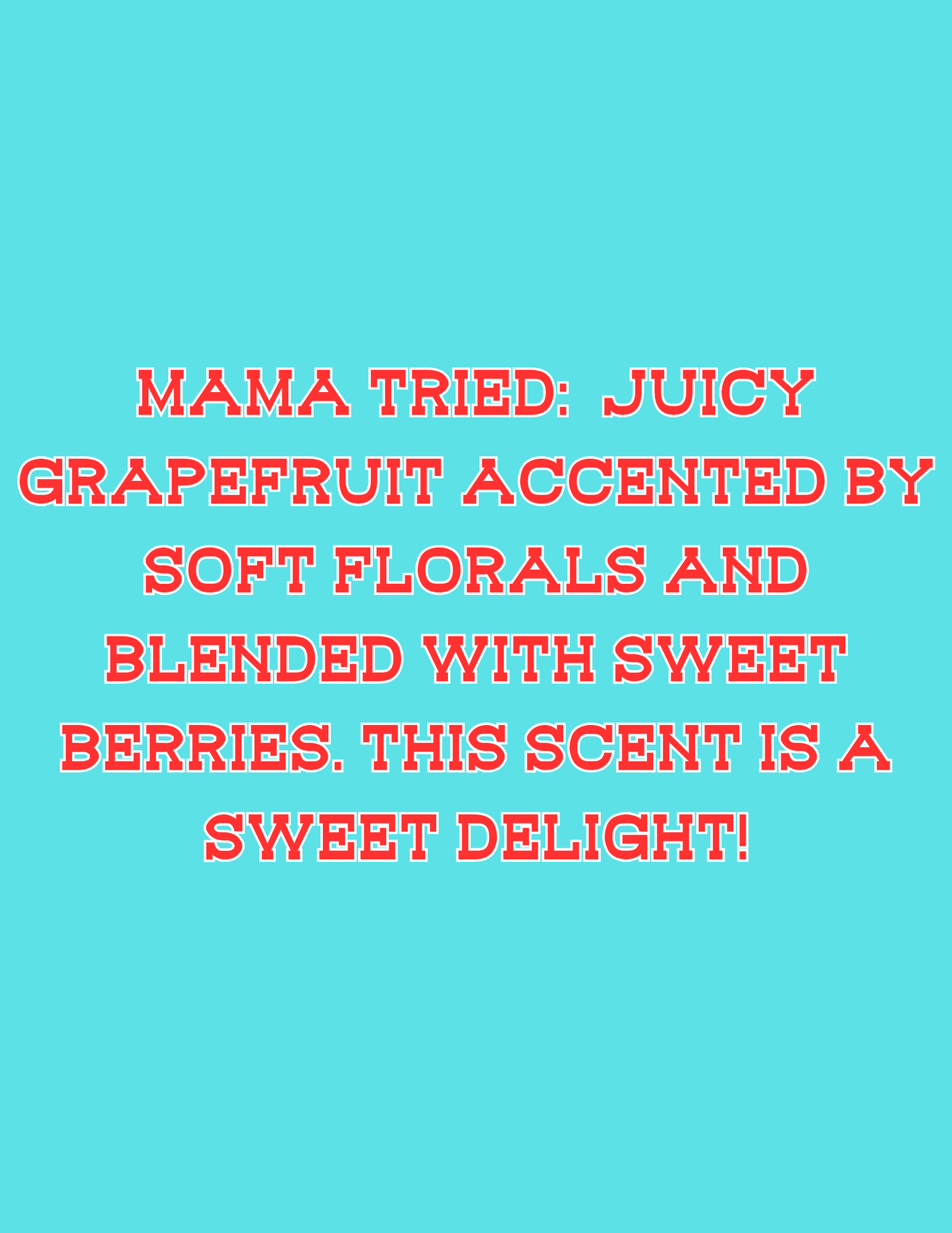 π£π£All Available Freshie Scent Descriptions ( all are listing in this listing)π£π£