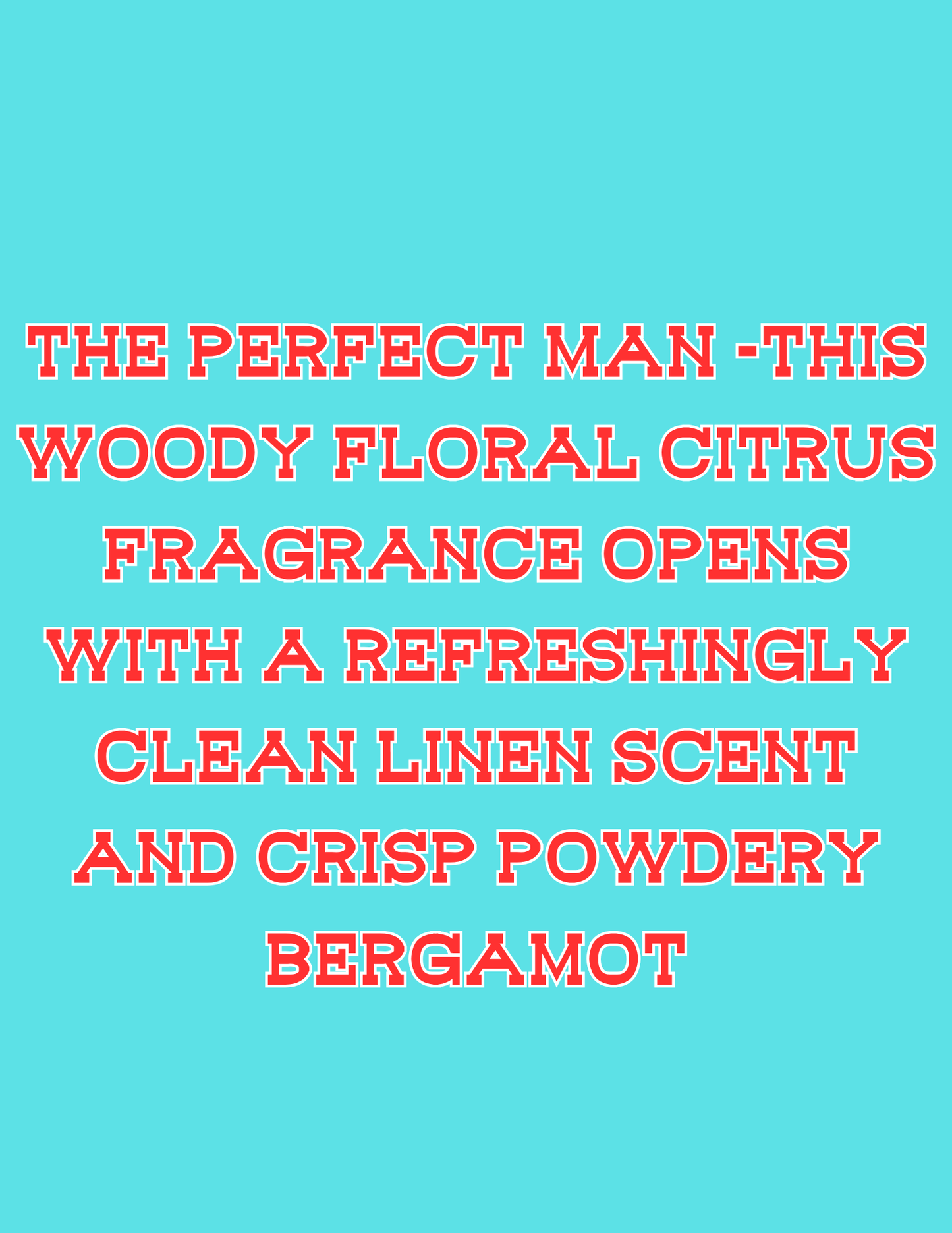 π£π£All Available Freshie Scent Descriptions ( all are listing in this listing)π£π£