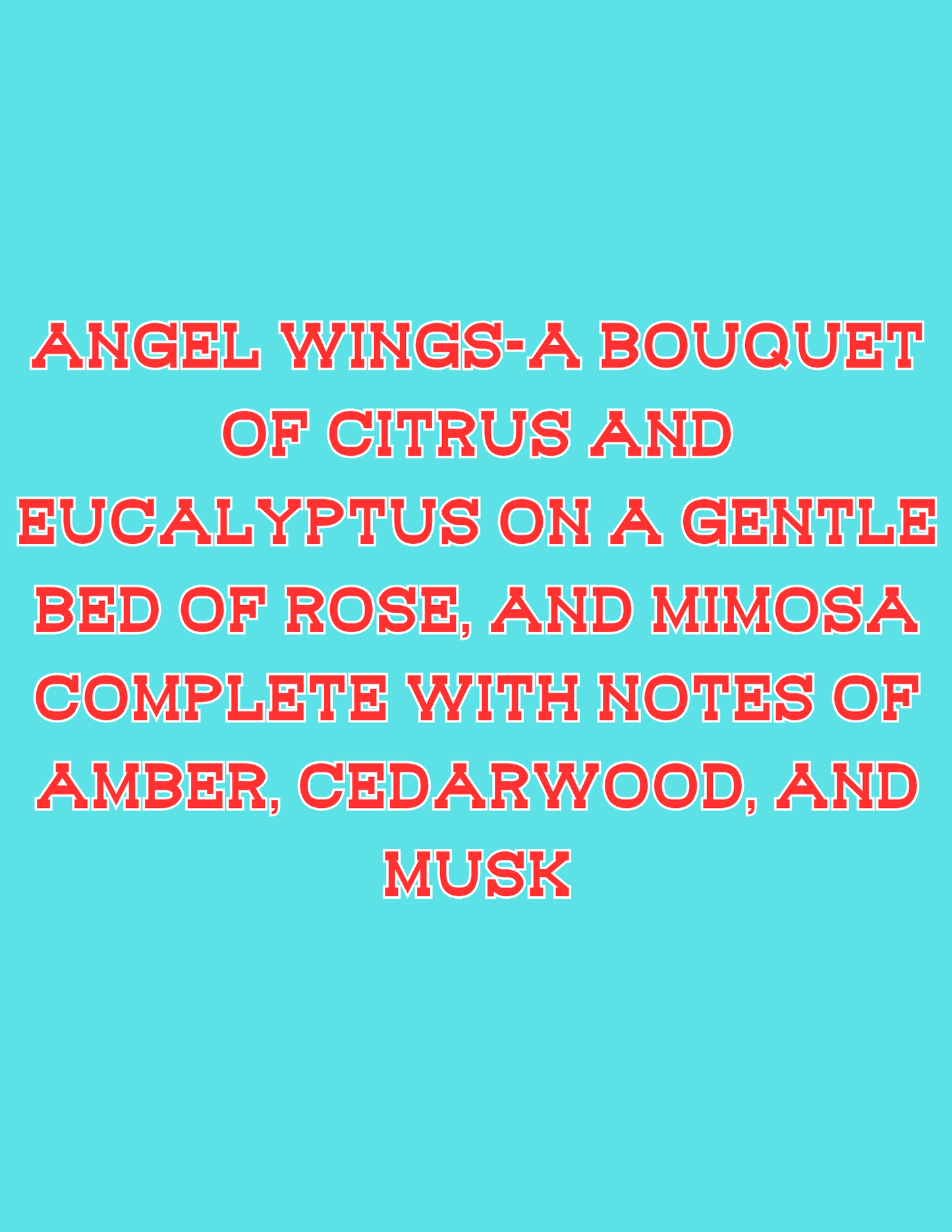 π£π£All Available Freshie Scent Descriptions ( all are listing in this listing)π£π£