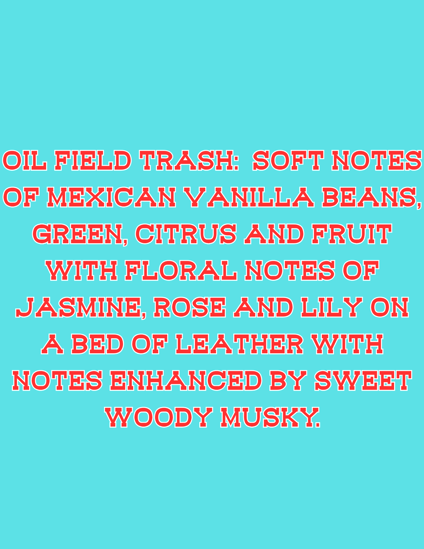π£π£All Available Freshie Scent Descriptions ( all are listing in this listing)π£π£