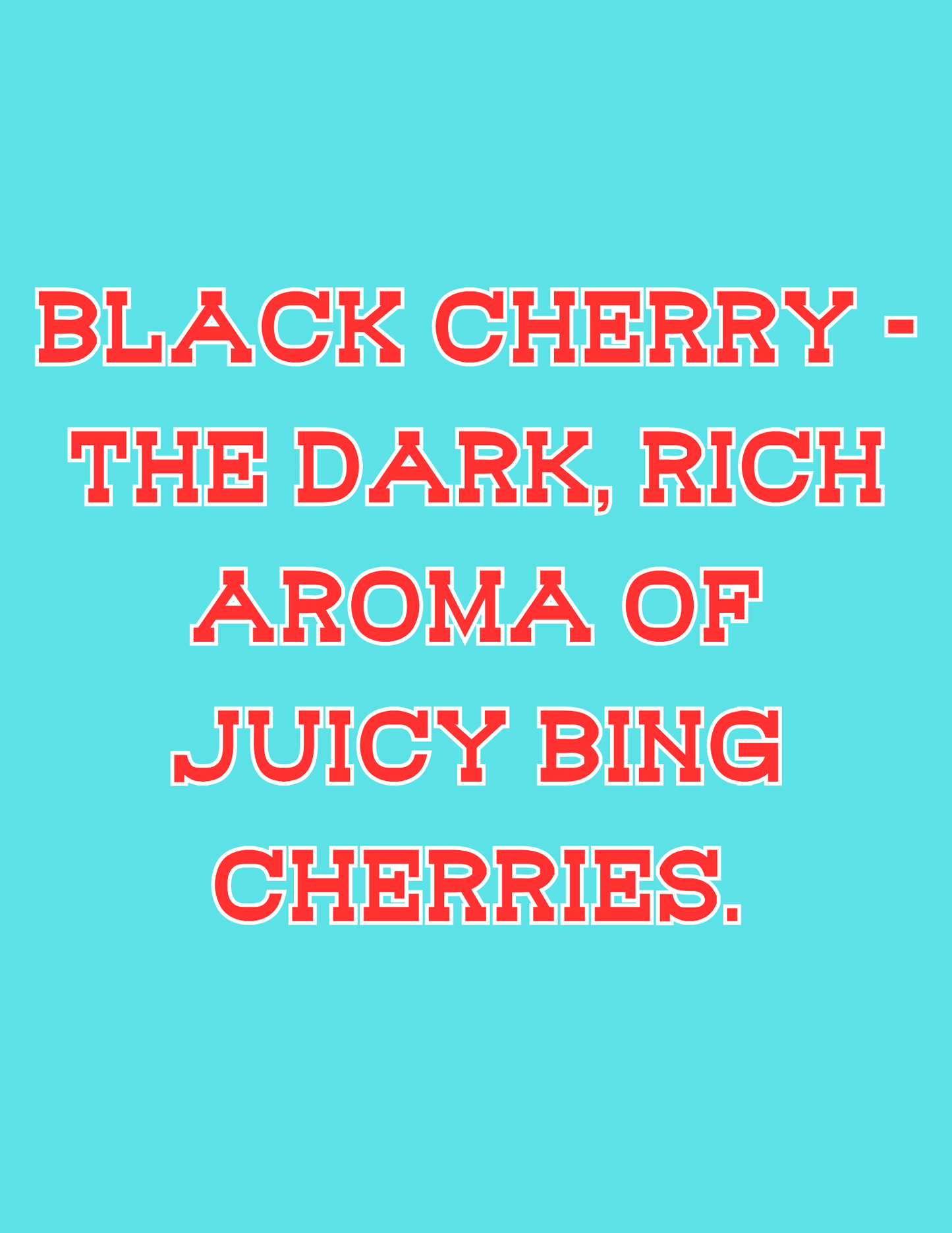 π£π£All Available Freshie Scent Descriptions ( all are listing in this listing)π£π£
