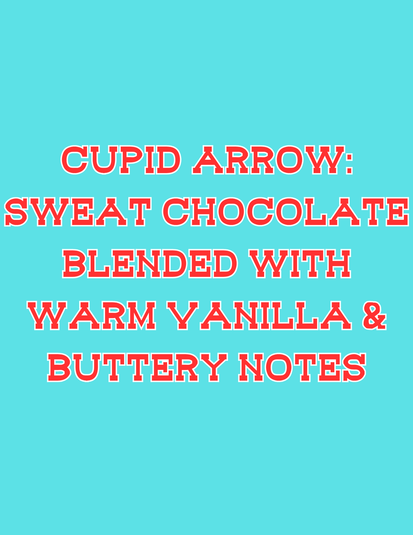 π£π£All Available Freshie Scent Descriptions ( all are listing in this listing)π£π£