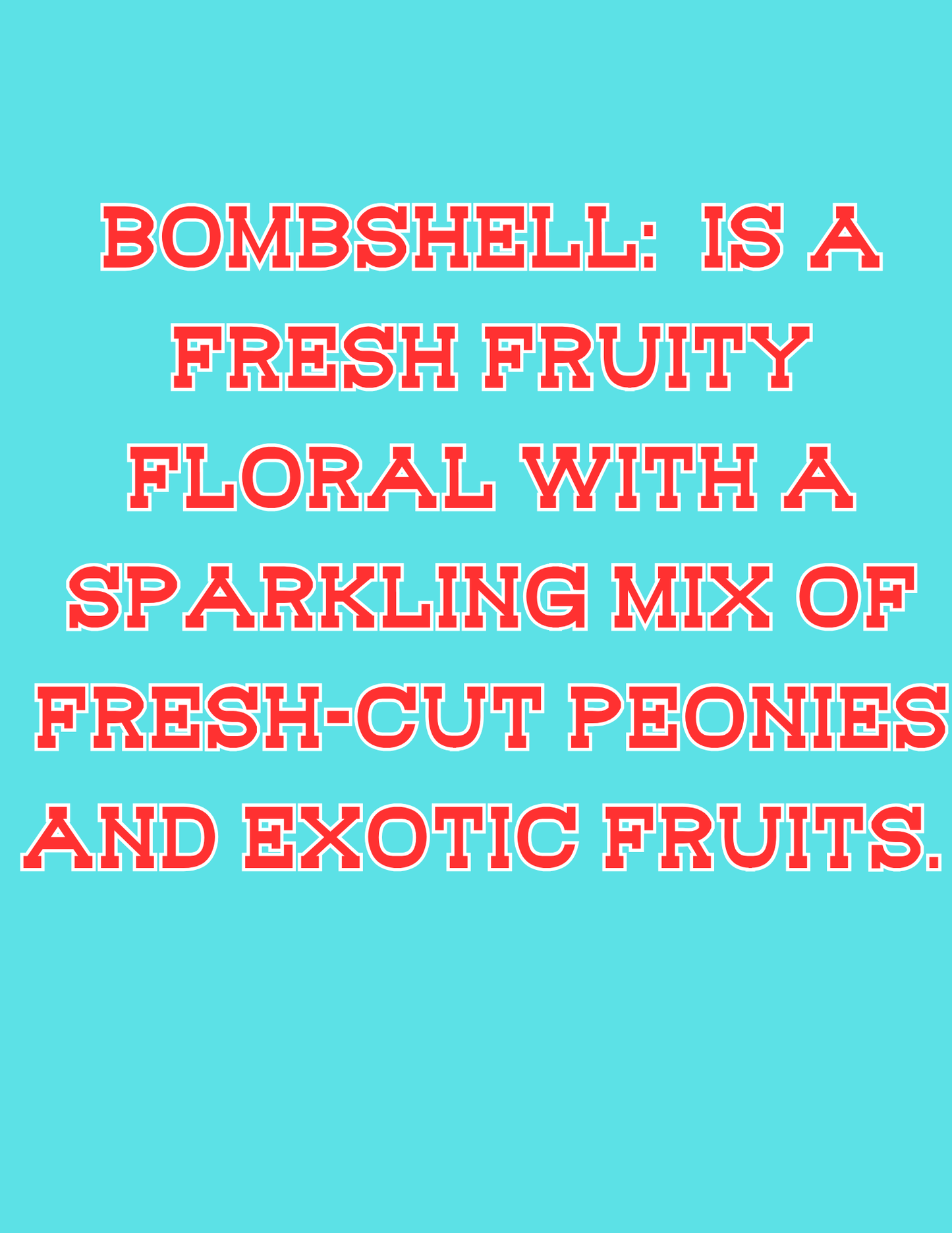 π£π£All Available Freshie Scent Descriptions ( all are listing in this listing)π£π£
