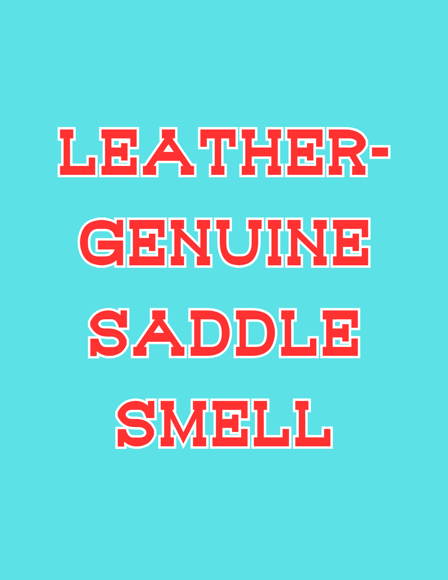 π£π£All Available Freshie Scent Descriptions ( all are listing in this listing)π£π£