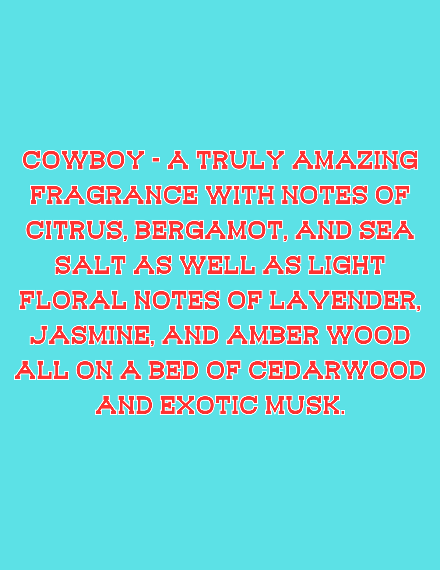π£π£All Available Freshie Scent Descriptions ( all are listing in this listing)π£π£
