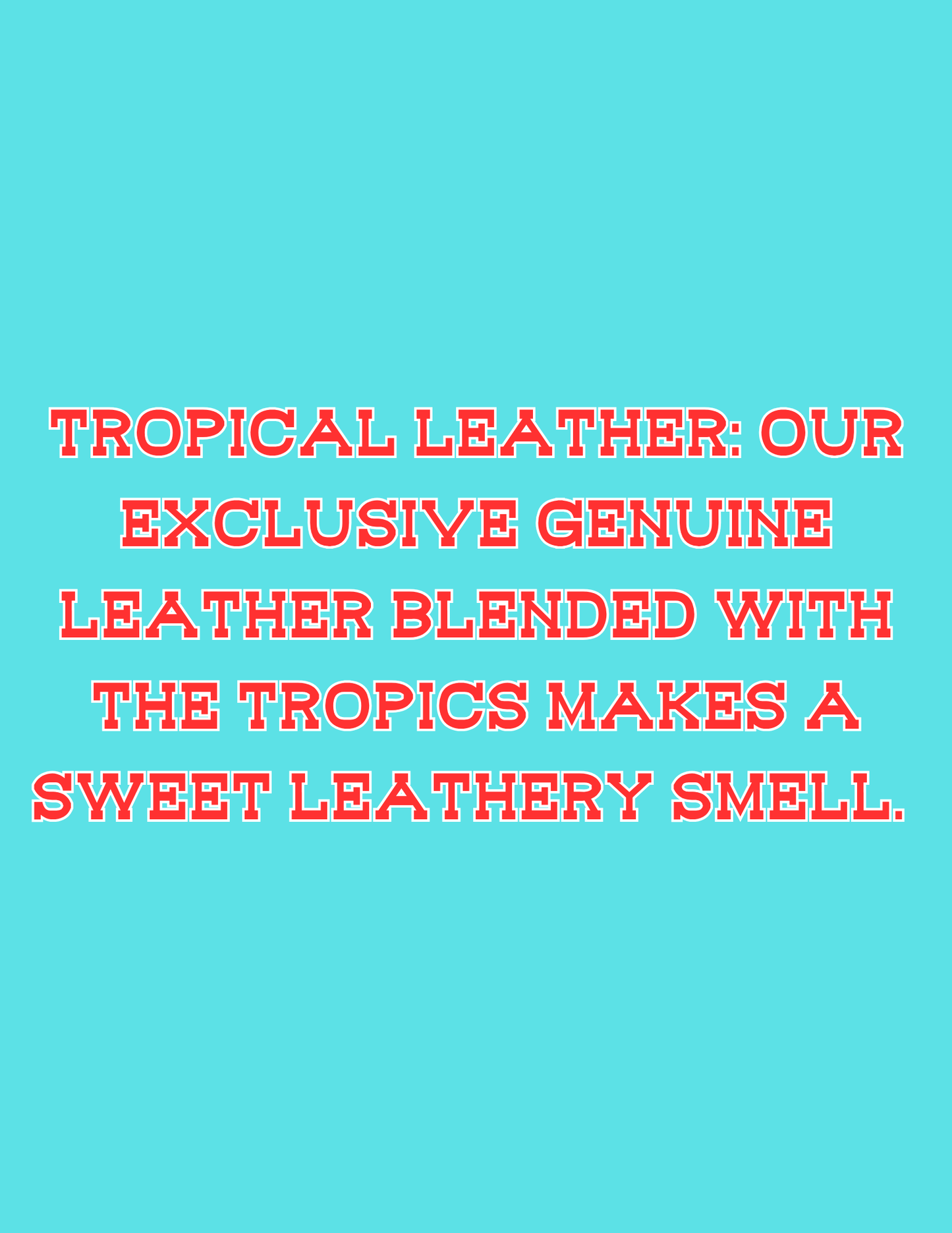 π£π£All Available Freshie Scent Descriptions ( all are listing in this listing)π£π£