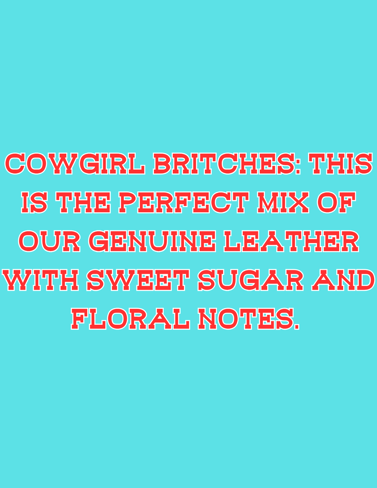 π£π£All Available Freshie Scent Descriptions ( all are listing in this listing)π£π£