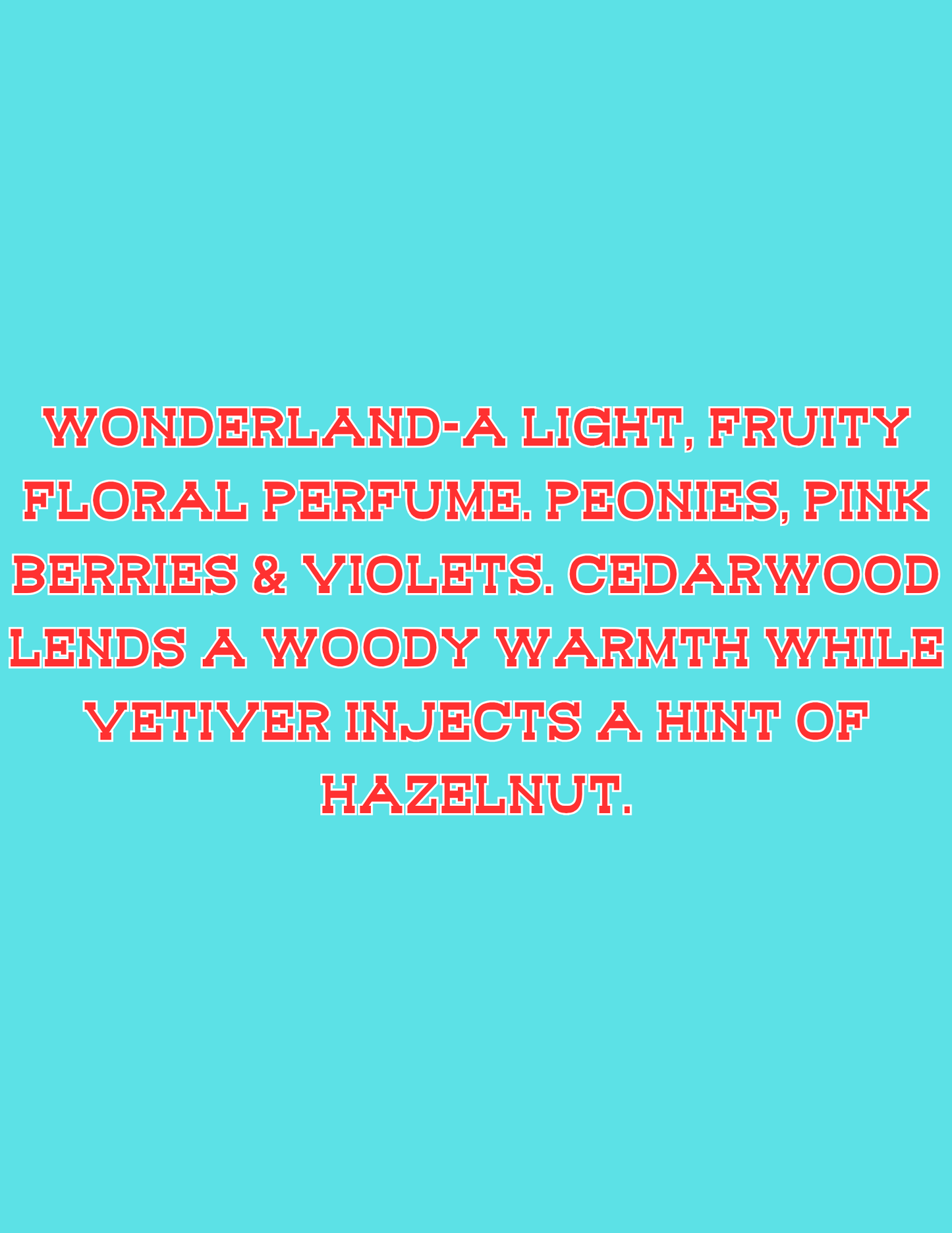 π£π£All Available Freshie Scent Descriptions ( all are listing in this listing)π£π£