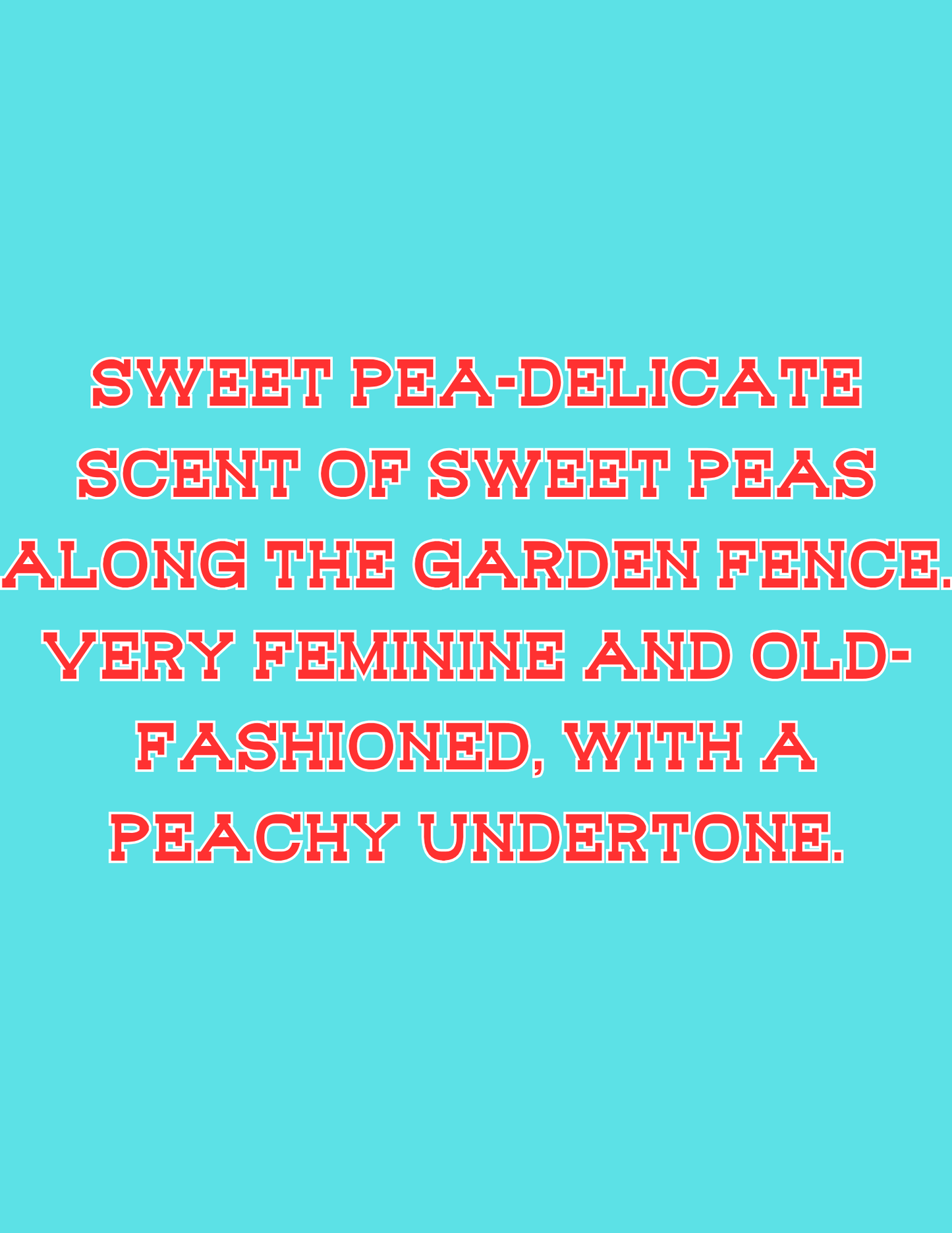 π£π£All Available Freshie Scent Descriptions ( all are listing in this listing)π£π£