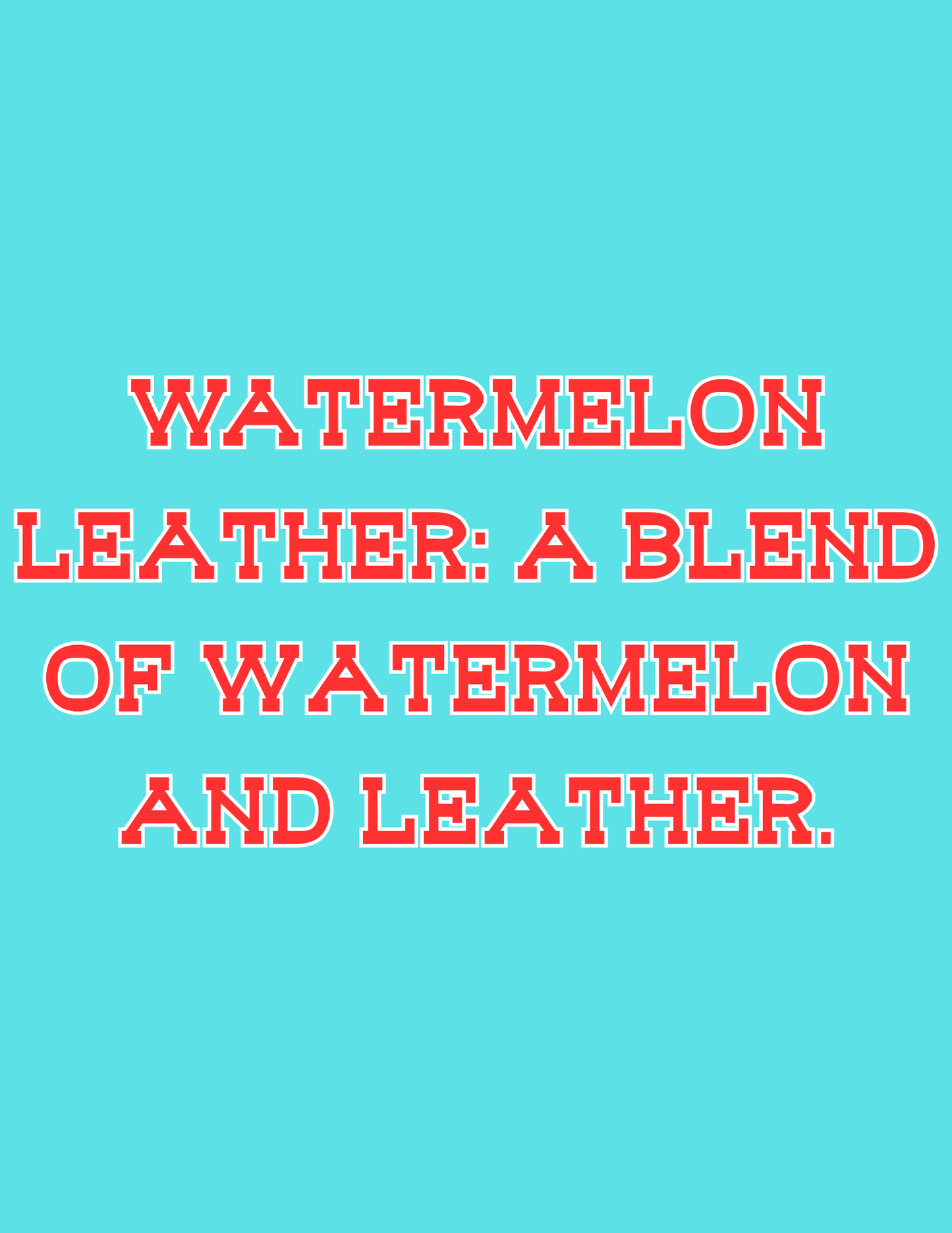 π£π£All Available Freshie Scent Descriptions ( all are listing in this listing)π£π£