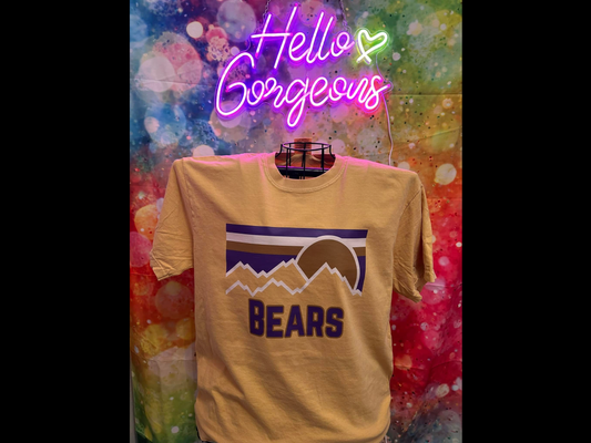 Patagonia Bears