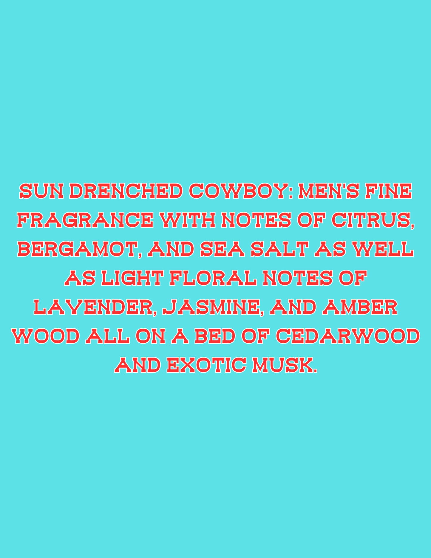 📣📣All Available Freshie Scent Descriptions ( all are listing in this listing)📣📣