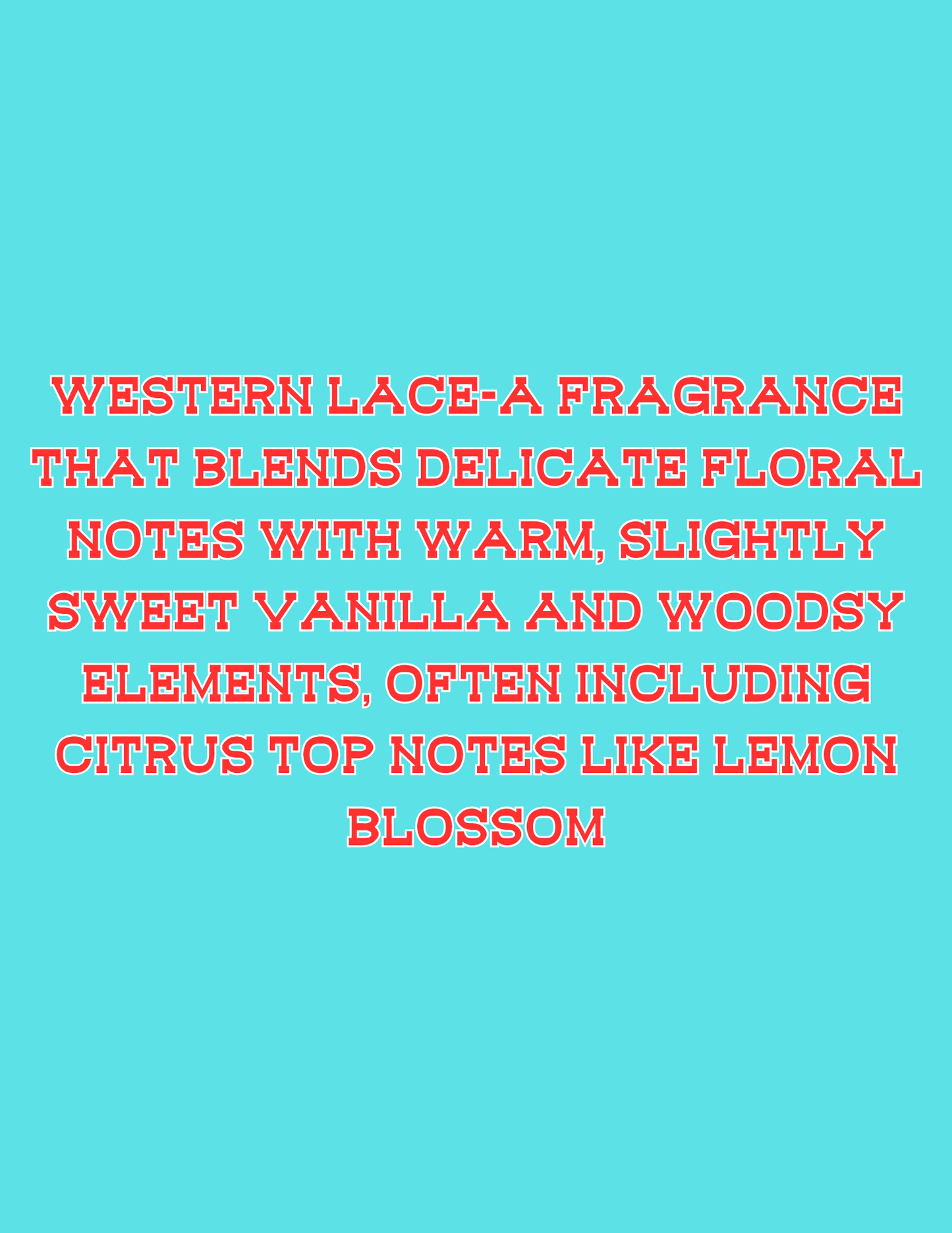 📣📣All Available Freshie Scent Descriptions ( all are listing in this listing)📣📣