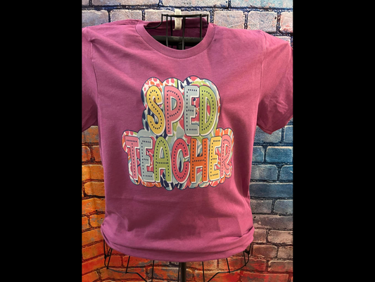 Colorful SPED Teacher