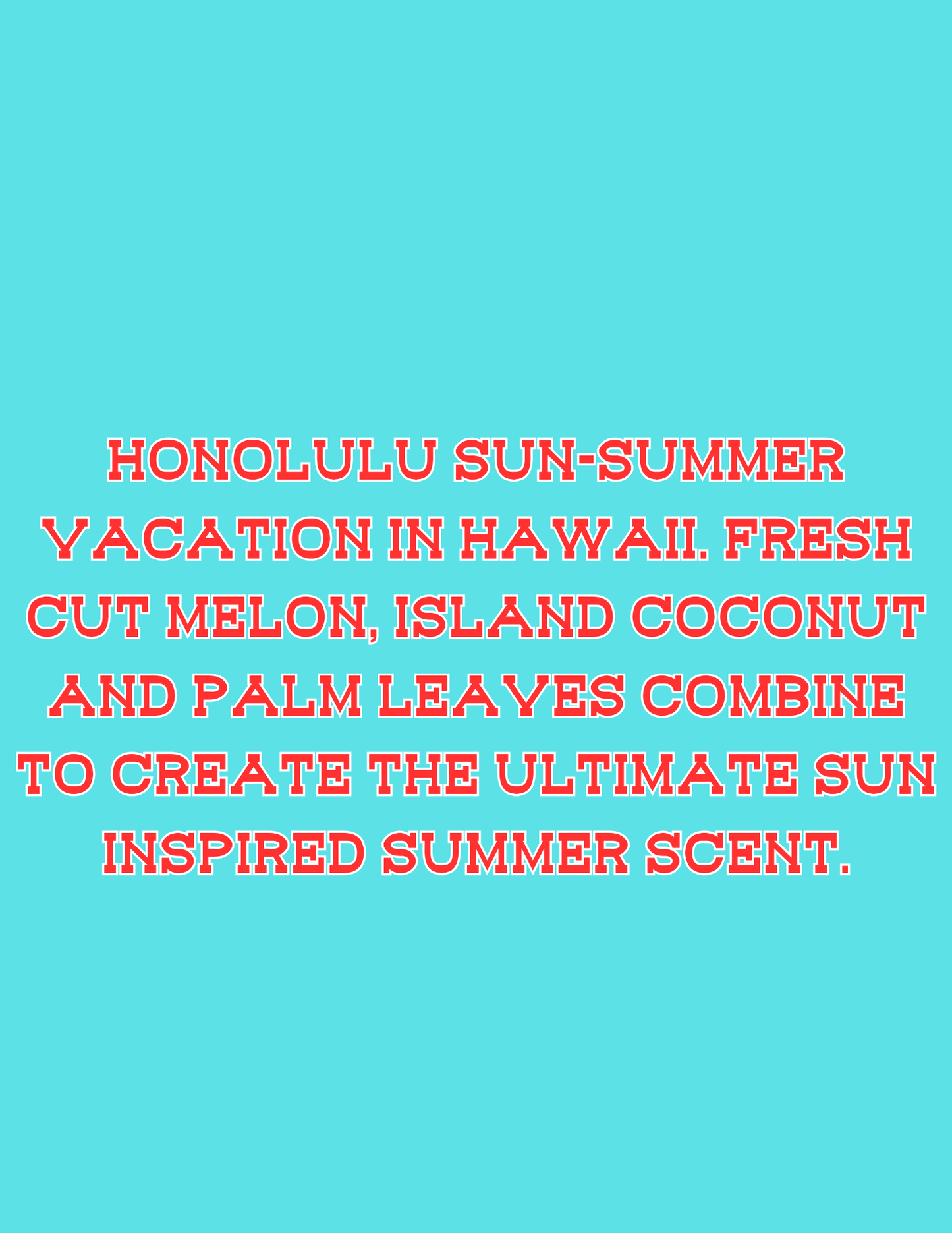 📣📣All Available Freshie Scent Descriptions ( all are listing in this listing)📣📣