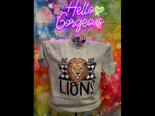 We Are Lions