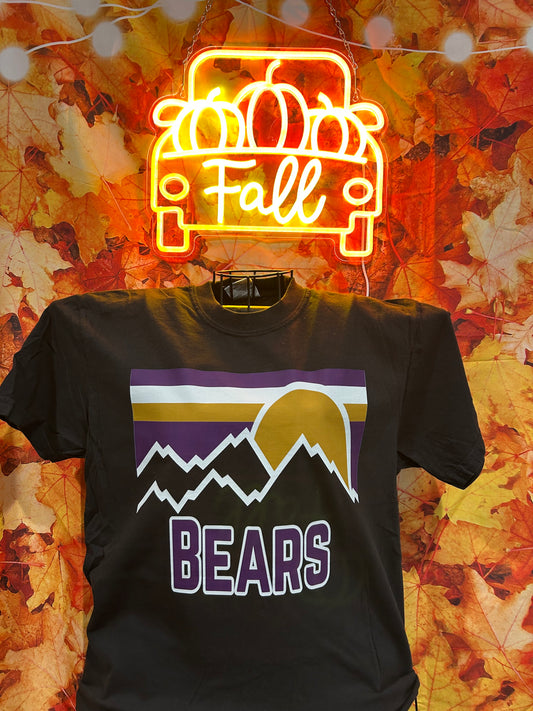 Paignton Bears