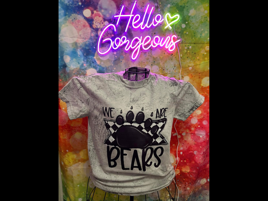 We Are Bears