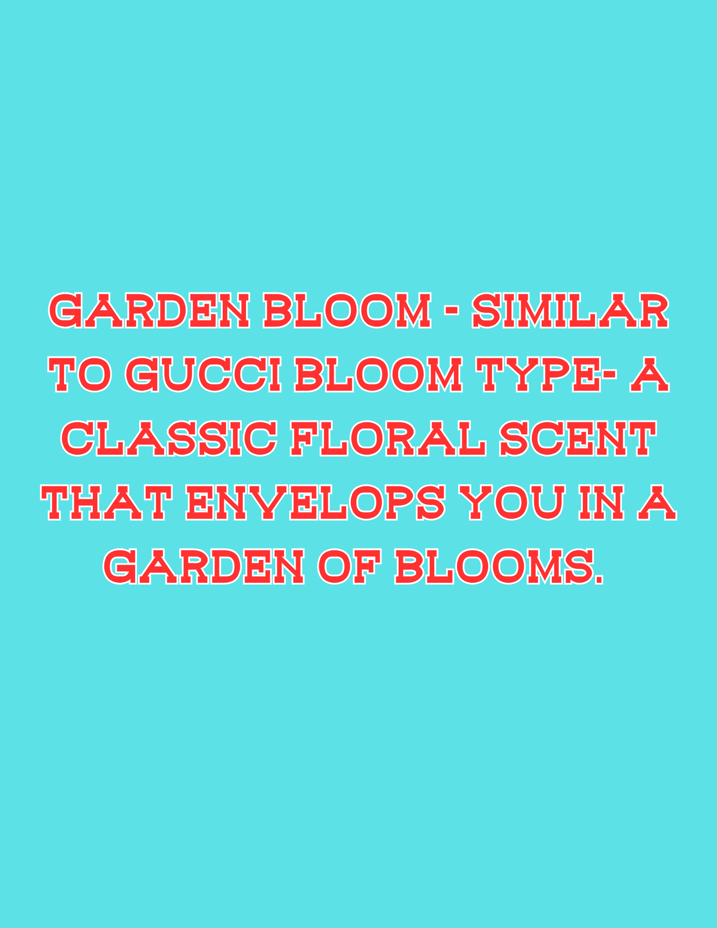 📣📣All Available Freshie Scent Descriptions ( all are listing in this listing)📣📣