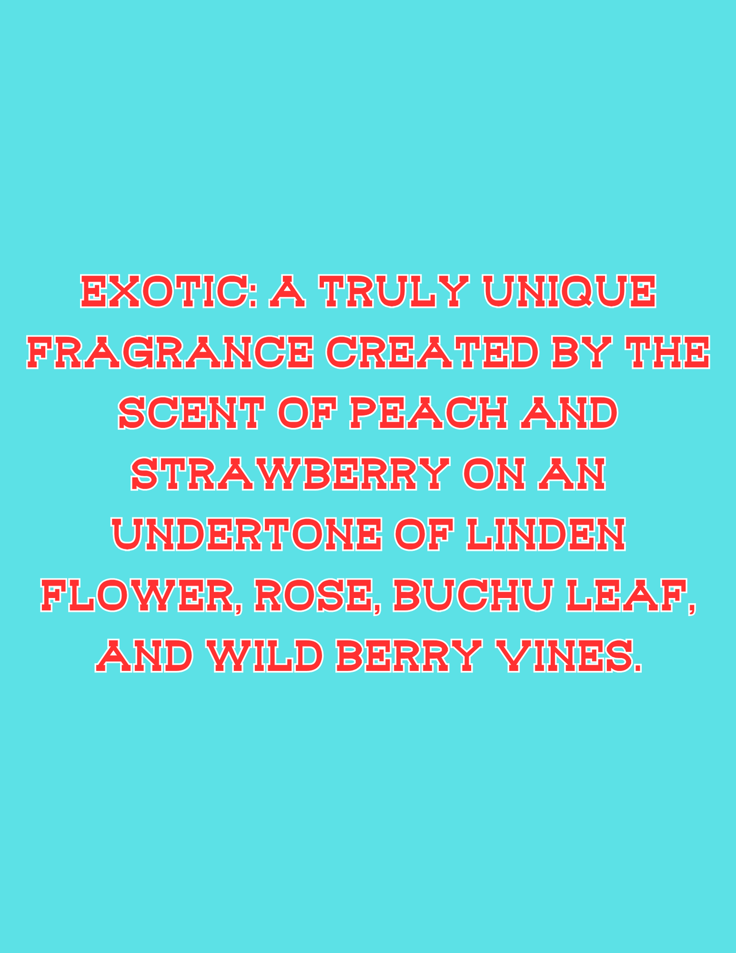 📣📣All Available Freshie Scent Descriptions ( all are listing in this listing)📣📣