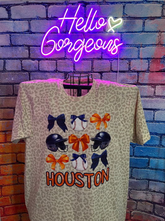 Houston Astros