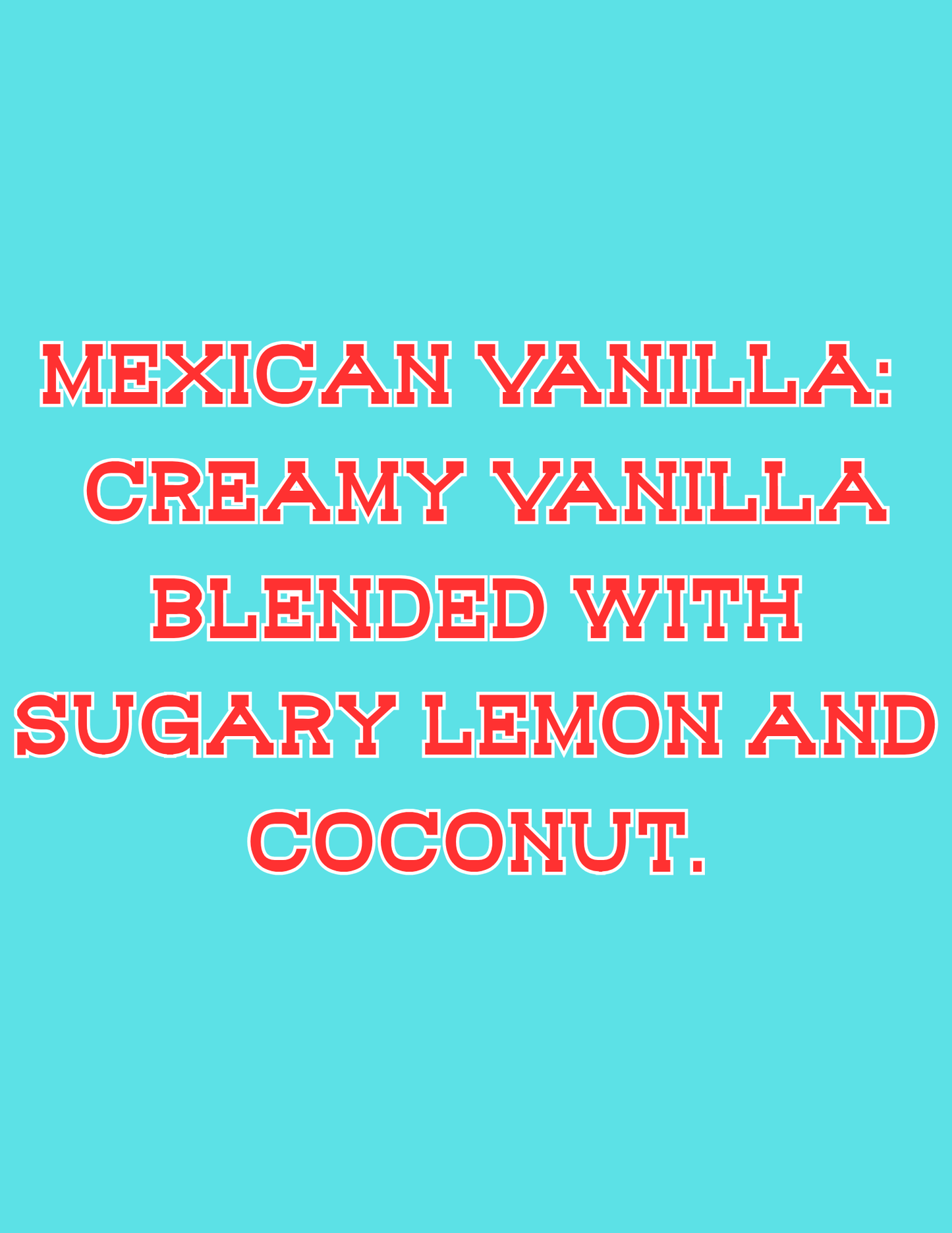 📣📣All Available Freshie Scent Descriptions ( all are listing in this listing)📣📣